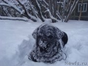 Превью фото № 143841