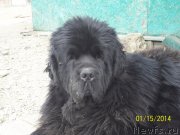 Превью фото № 143844