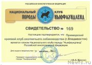 Превью фото № 143944