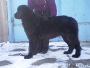 Превью фото № 143993