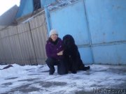 Превью фото № 143997