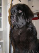 Превью фото № 144024