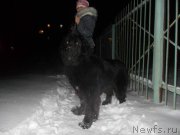 Превью фото № 144030