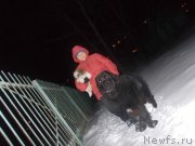 Превью фото № 144031