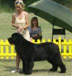 Превью фото № 14406