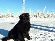 Превью фото № 144096