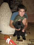 Превью фото № 144119