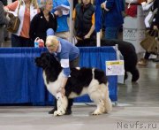 Превью фото № 144229