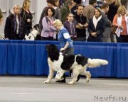 Превью фото № 144231