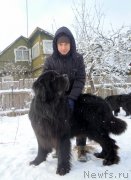 Превью фото № 144250