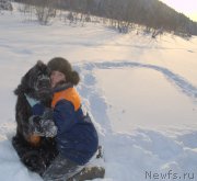 Превью фото № 144326