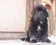 Превью фото № 144388