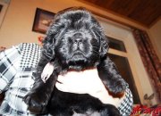 Превью фото № 144391