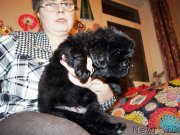 Превью фото № 144392