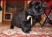 Превью фото № 144434