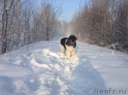 Превью фото № 144528