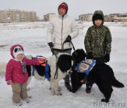 Превью фото № 144544