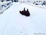 Превью фото № 144546