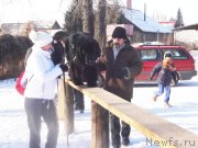 Превью фото № 144560