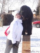 Превью фото № 144563