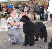 Превью фото № 144571