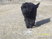 Превью фото № 144607