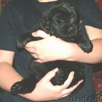 Превью фото № 14467