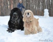 Превью фото № 144851