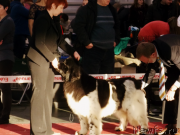 Превью фото № 144947