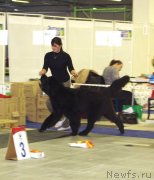 Превью фото № 145058