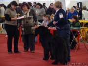 Превью фото № 145075