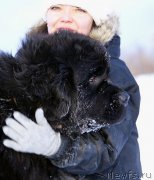 Превью фото № 145077