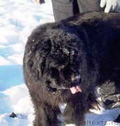 Превью фото № 145096