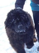 Превью фото № 145101