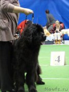 Превью фото № 145145