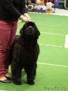 Превью фото № 145147