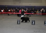 Превью фото № 145163