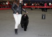 Превью фото № 145164