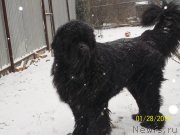 Превью фото № 145169