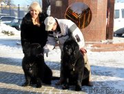 Превью фото № 145178