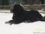 Превью фото № 145179