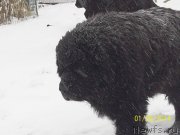 Превью фото № 145182