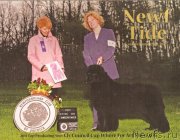 Превью фото № 145299