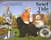 Превью фото № 145302