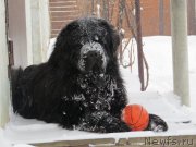 Превью фото № 145374