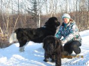 Превью фото № 145440