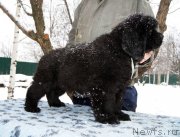 Превью фото № 145543