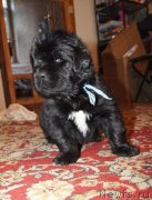 Превью фото № 145553