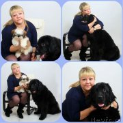 Превью фото № 145623