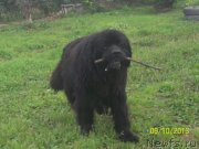 Превью фото № 145733